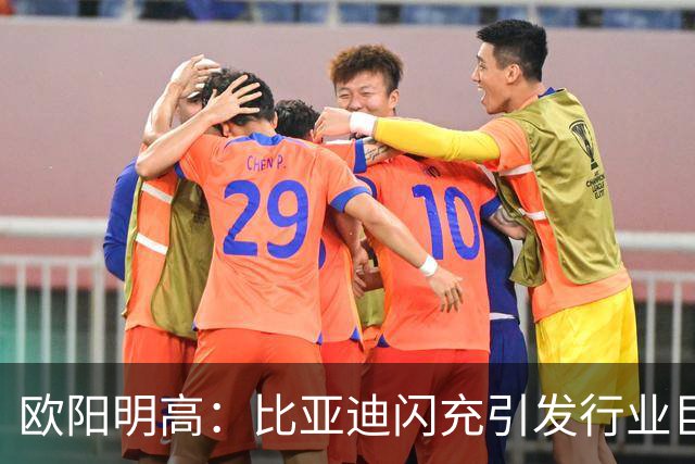 欧阳明高：比亚迪闪充引发行业巨变，中小车企与电池厂面临巨大压力
